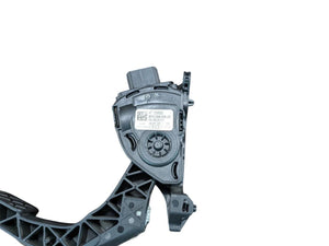 Gas Pedal - 6PV009505